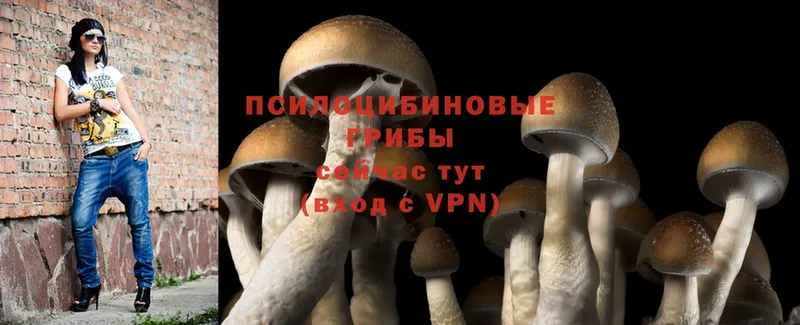 Псилоцибиновые грибы Psilocybine cubensis  даркнет сайт  Набережные Челны 